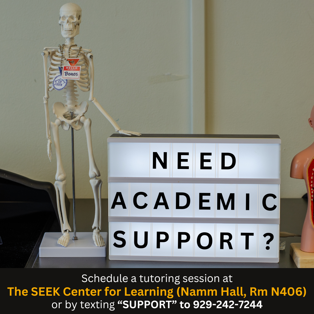 A miniature skeleton model next to a light-up message board that says "Need Academic Support?" and promoting Academic Services at the SEEK Center for Learning.