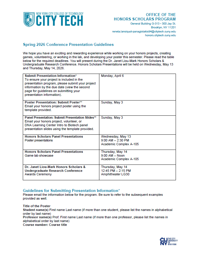 presentation guidelines