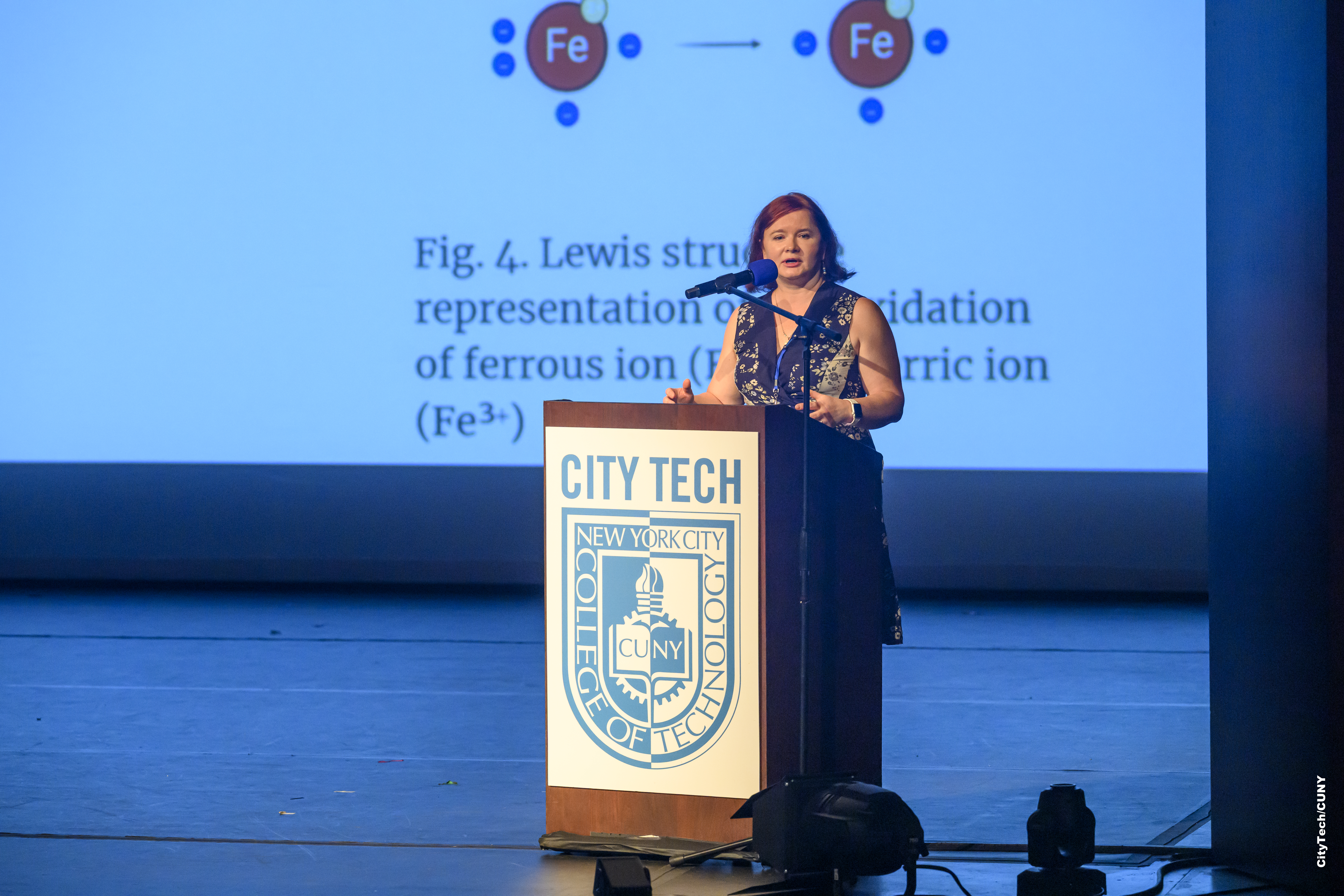 CREST Symposium - July 2025