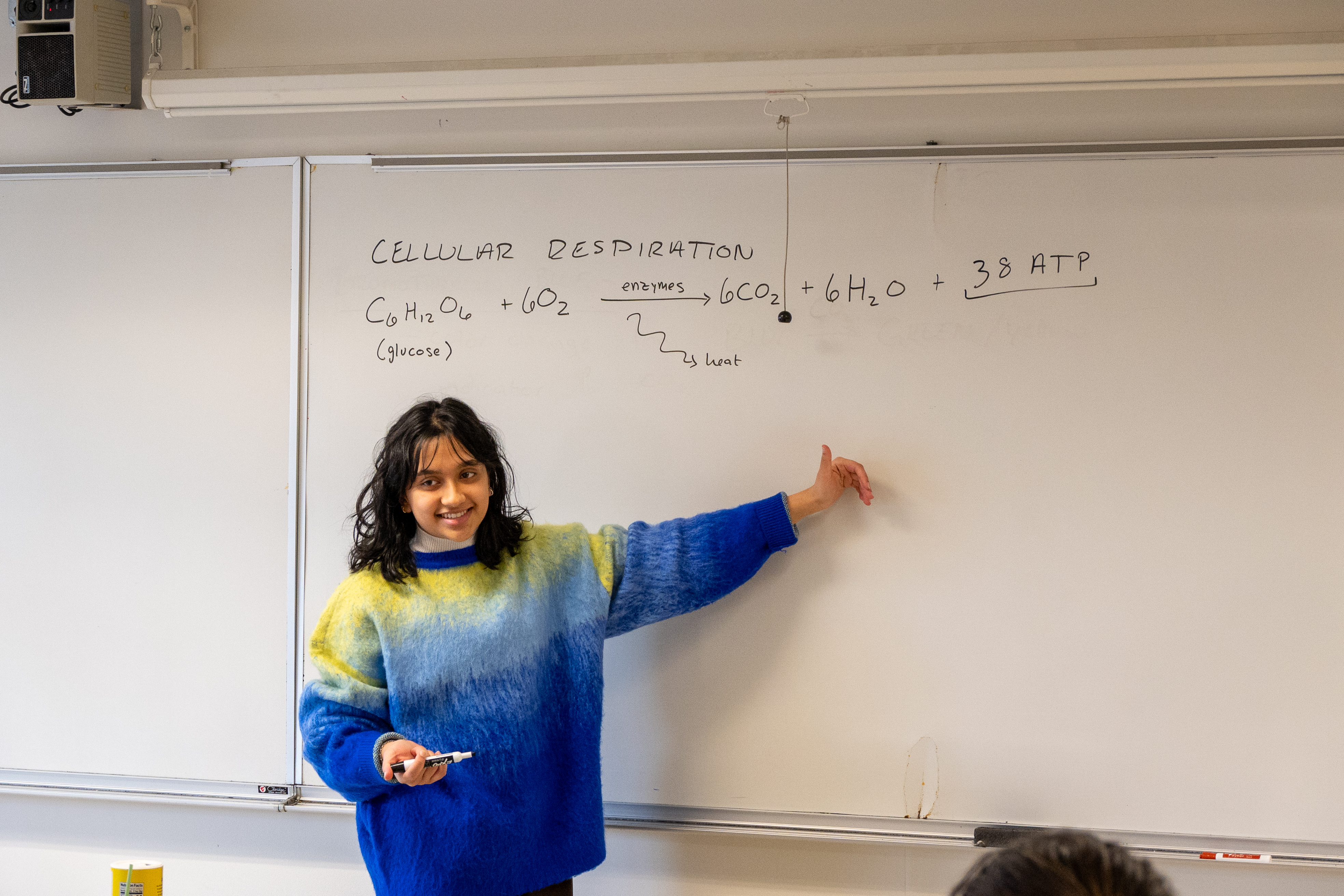 A lecturer smiling while facing students in desks. She is in front of a whiteboard with scientific writing on it, explaining the text.